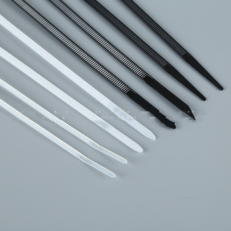 With Screw Hole Round Screw Self-locking Fixed Head Cable Tie