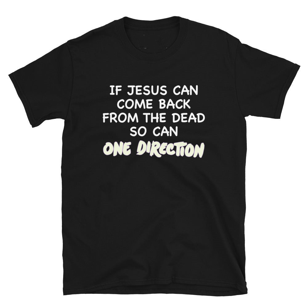 If Jesus Can Come Back From The Dead T-Shirt