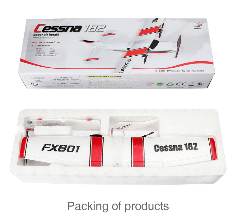 FX801 Remote Control Glider  Model