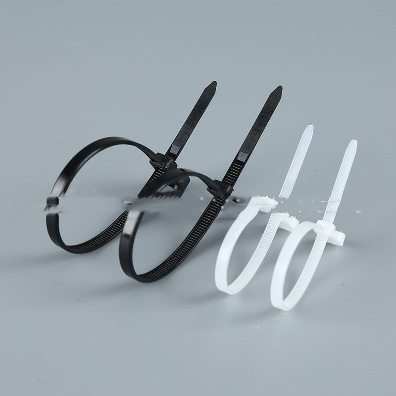 With Screw Hole Round Screw Self-locking Fixed Head Cable Tie