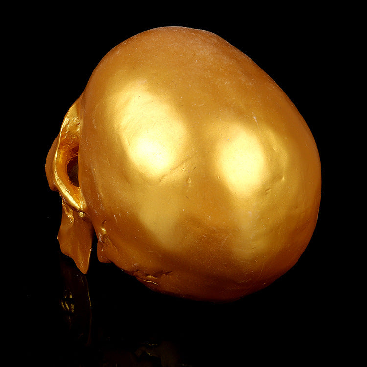 Resin Skull Medical School Popular Science